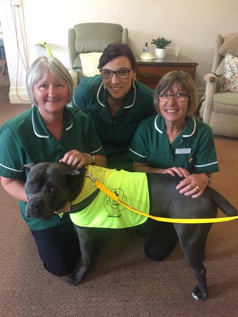 Members of the Abberton Manor care team with a visiting therapy dog